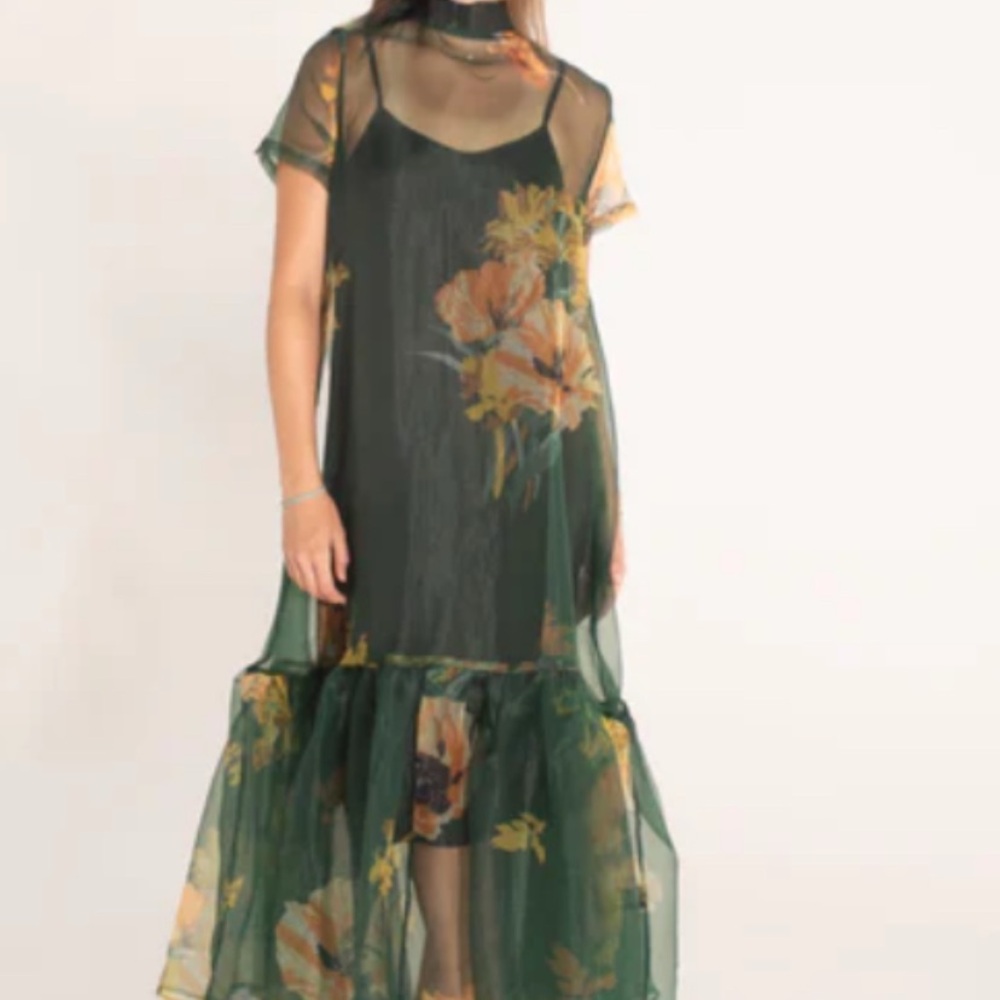Floral Green Sheer Organza Maxi Dress